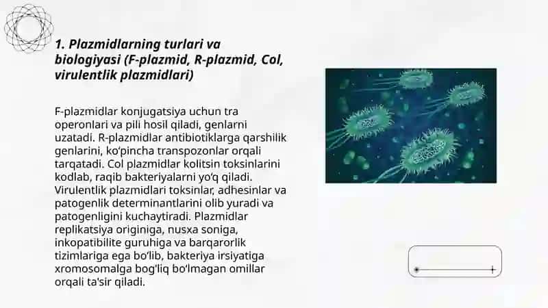 Mikroorganizmlarning genitikasi va oʻzgaruvchanligi 3