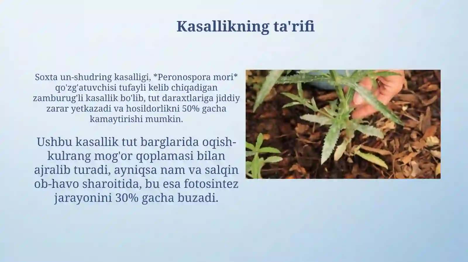 Soxta un-shudring kasalligi 3