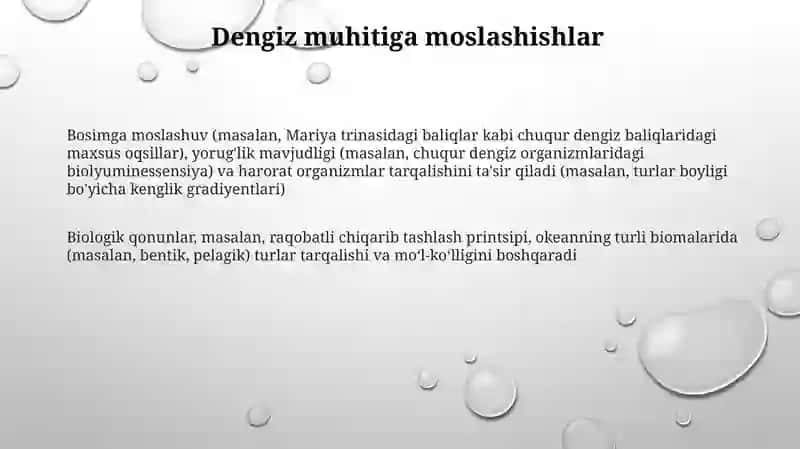 Dunyo okeanidagi dengizlarning organzimlari va biologik tuzilish qonunlari 3