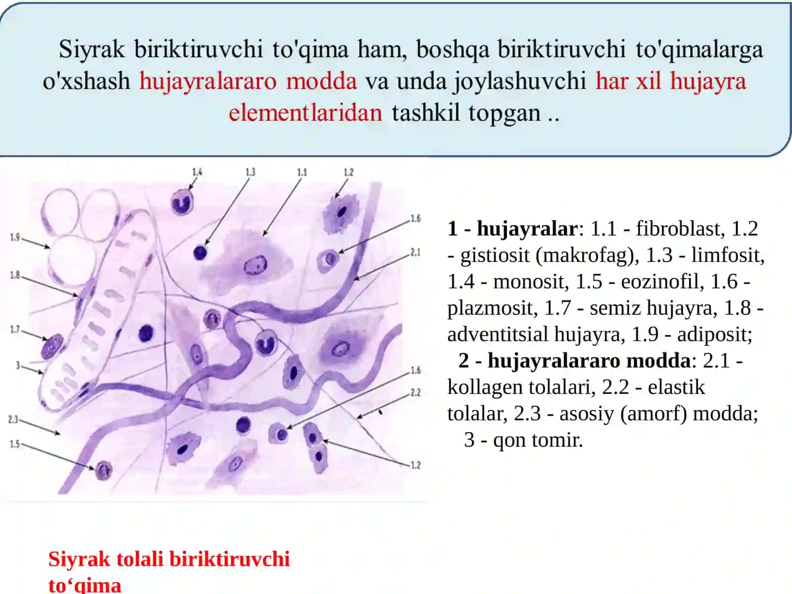 Siyrak to'qima 3