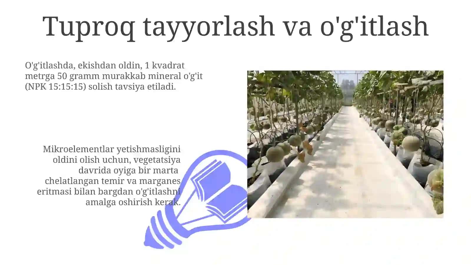 Issiqxonalarda noyob meva-sabzavotlarni yetishtirish texnologiyalari 3