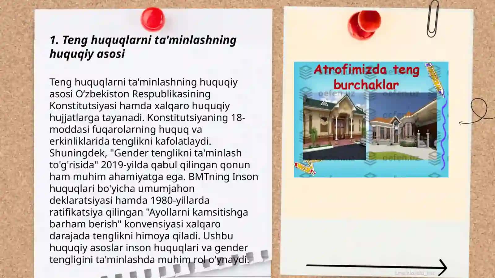 Teng huquqlilar va teng imkoniyatlar siyosati 3