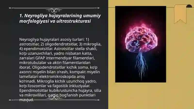 Neyrogliya hujayralarini tuzilishi va funksiyasi 3