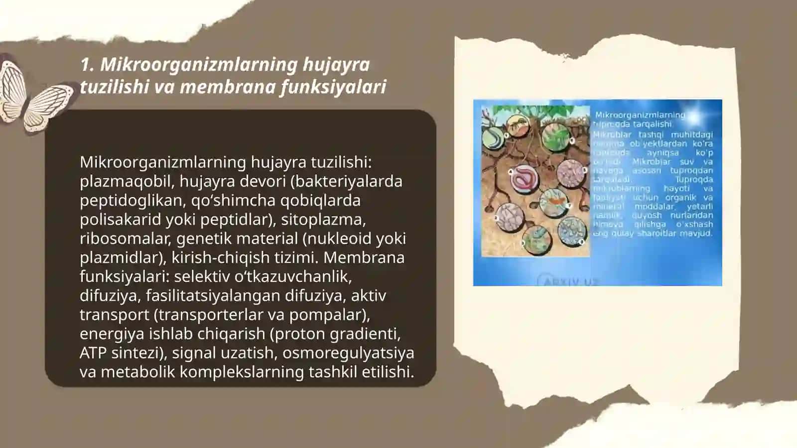 Mikroorganizmlar fiziologiyasi 3