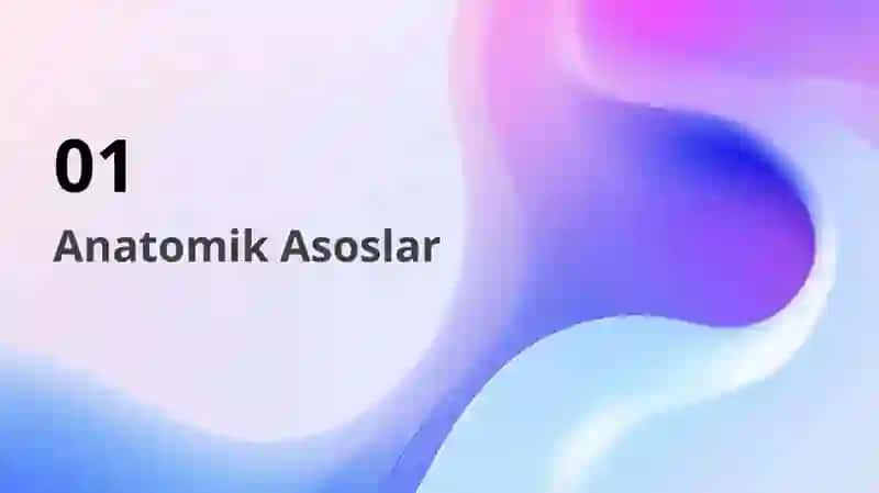 Amaliy Ishlarda Anatomiya 3