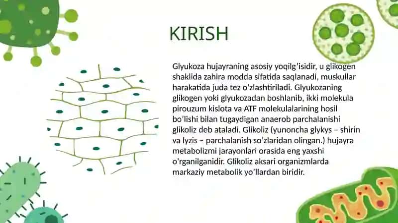 Glikolizlarning ayrim reaksiyalari va metabolik jarayonlarning asosiy yo'llari 3