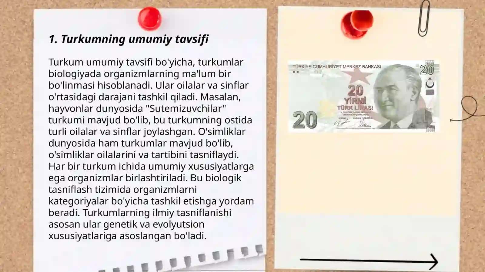 Turkum - Homeptera (teng qanotlilar)ю 3