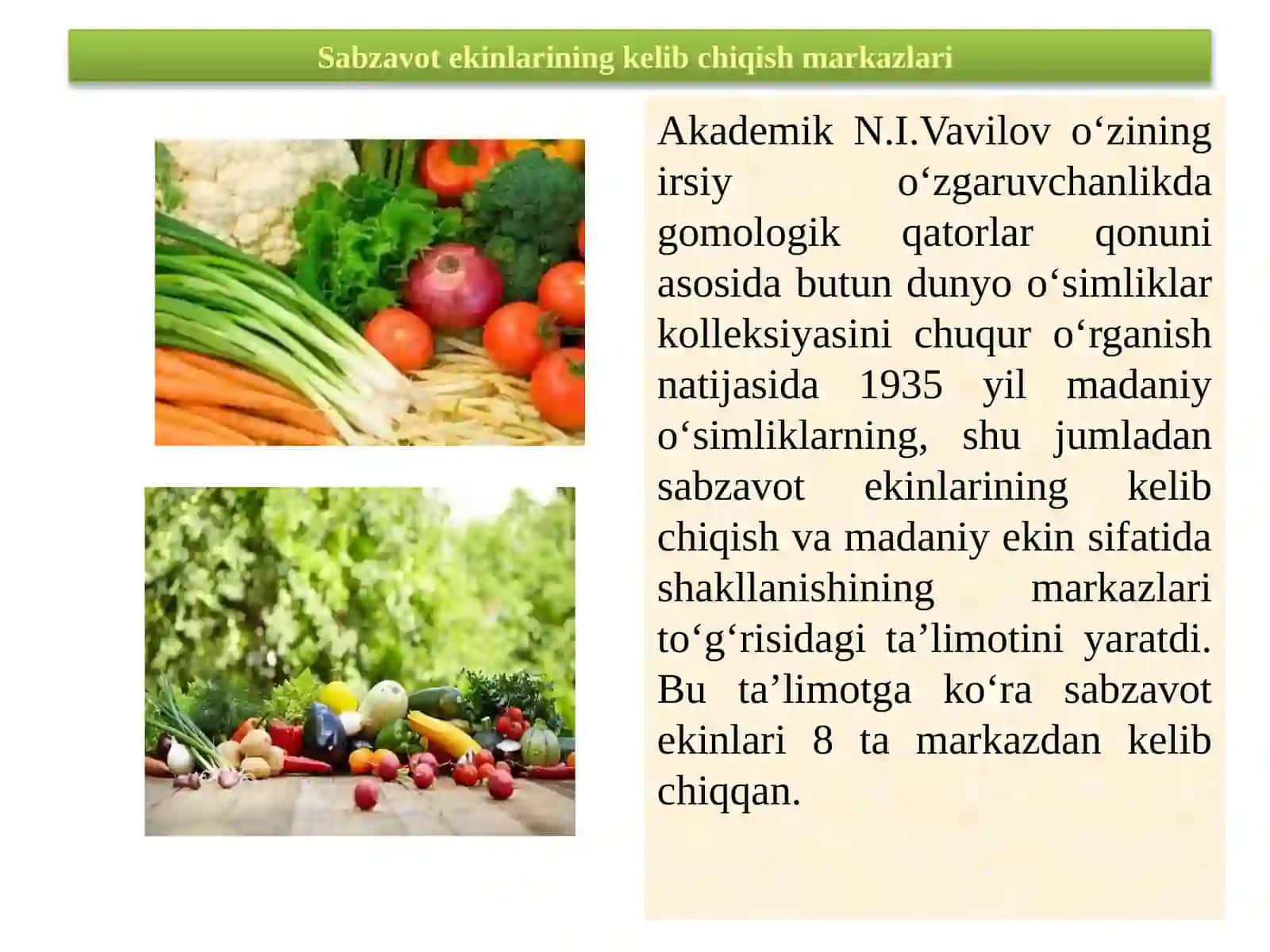 SABZAVOT EKINLARINING BOTANIK TASNIFI, MORFOLOGIK VA BIOLOGIK HUSUSIYATLARI 3