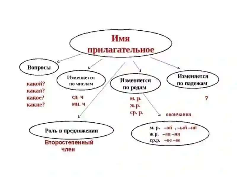 Имя прилагательное - Возникновение и развитие Великого шелкового пути. 3