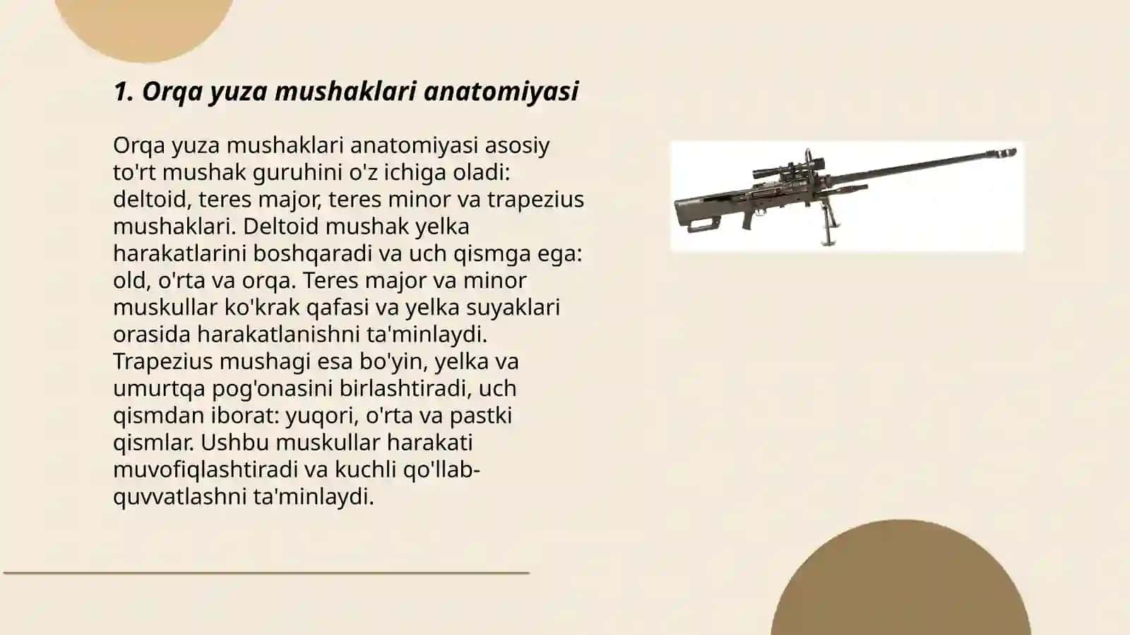 Orqa yuza va chuqur guruh mushaklari 3