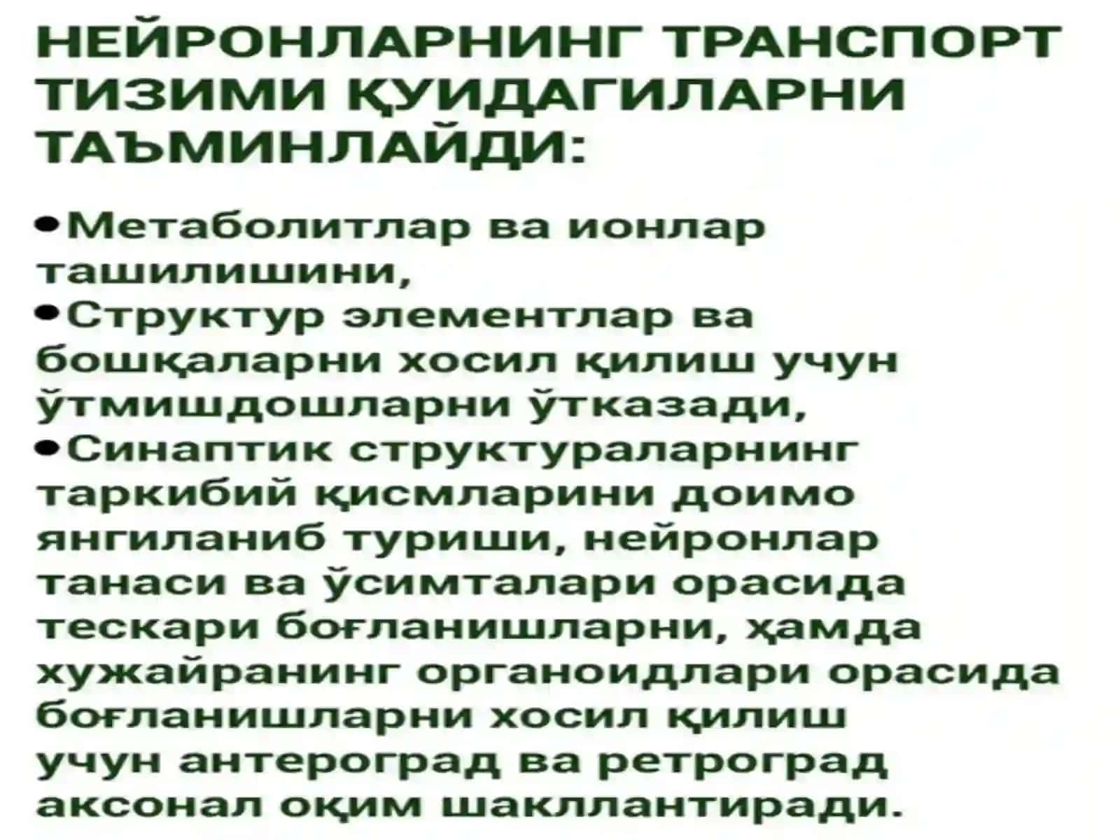 Nervtizimibiokimyosi 3