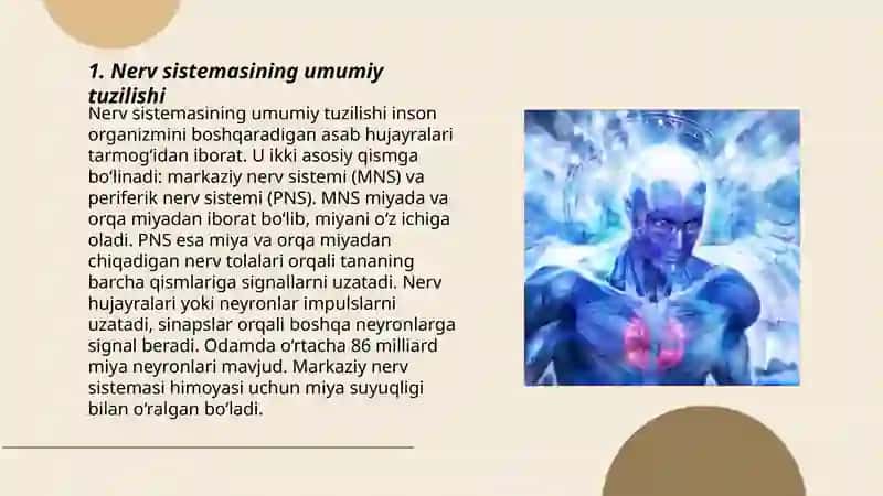Nerv sistemasining ahamiyati va gigienasi 3