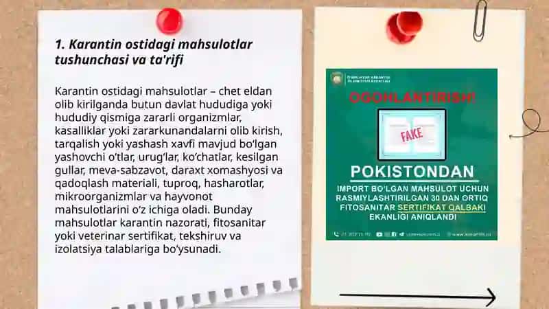 Import mahsulotlarini olib kirish qoidalari 3