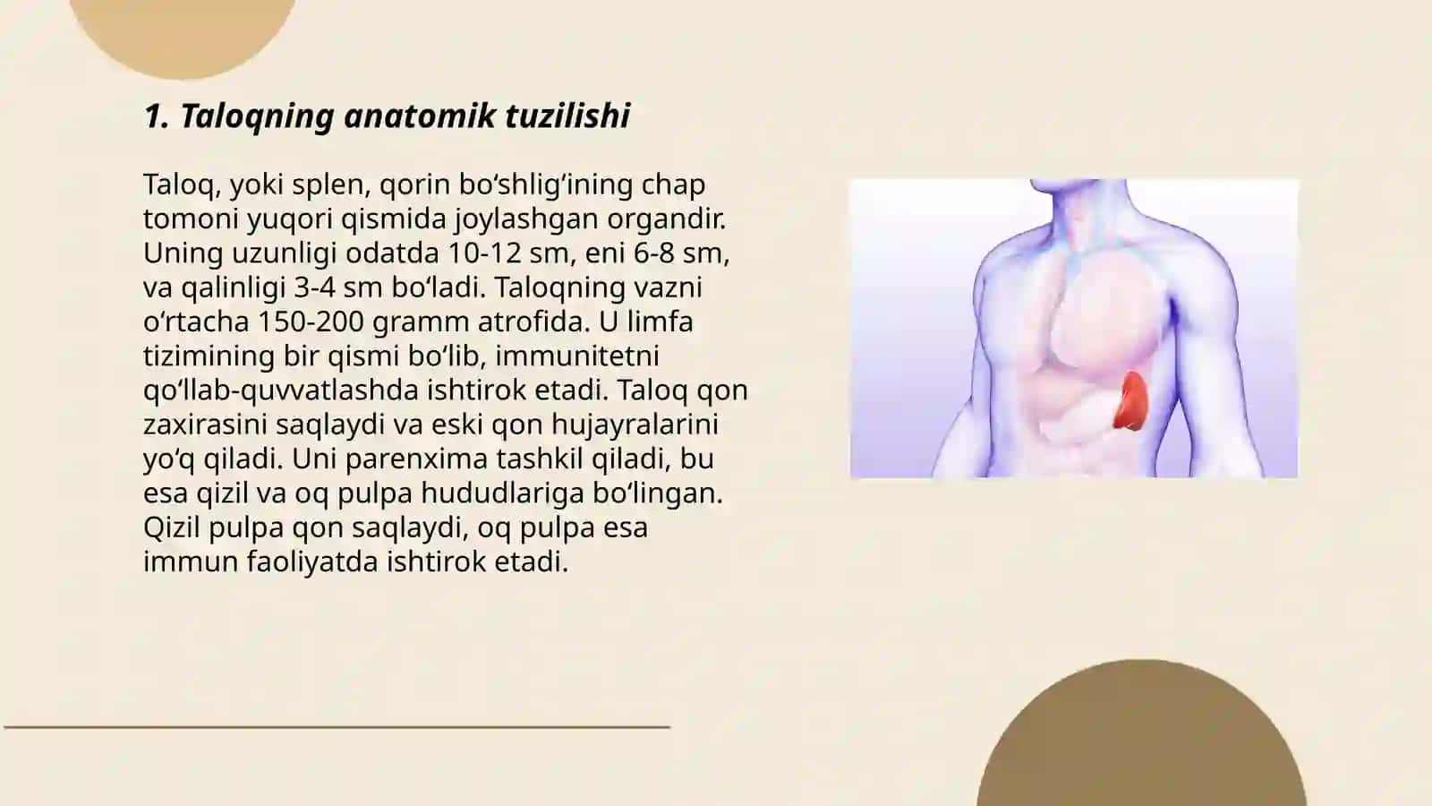 Taloq tuzulishi va topogirafiysi 3