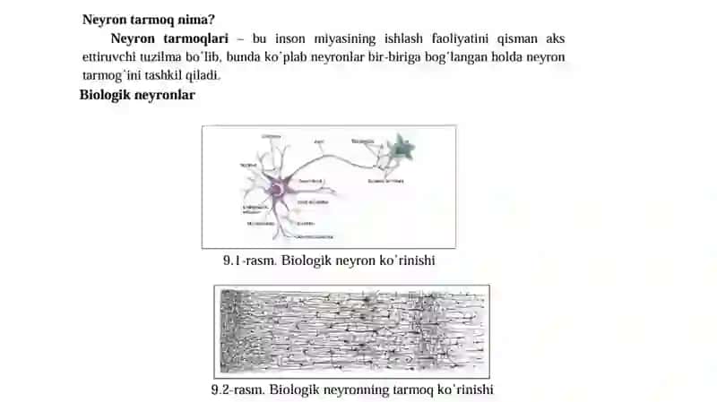 Biologik neyron 3