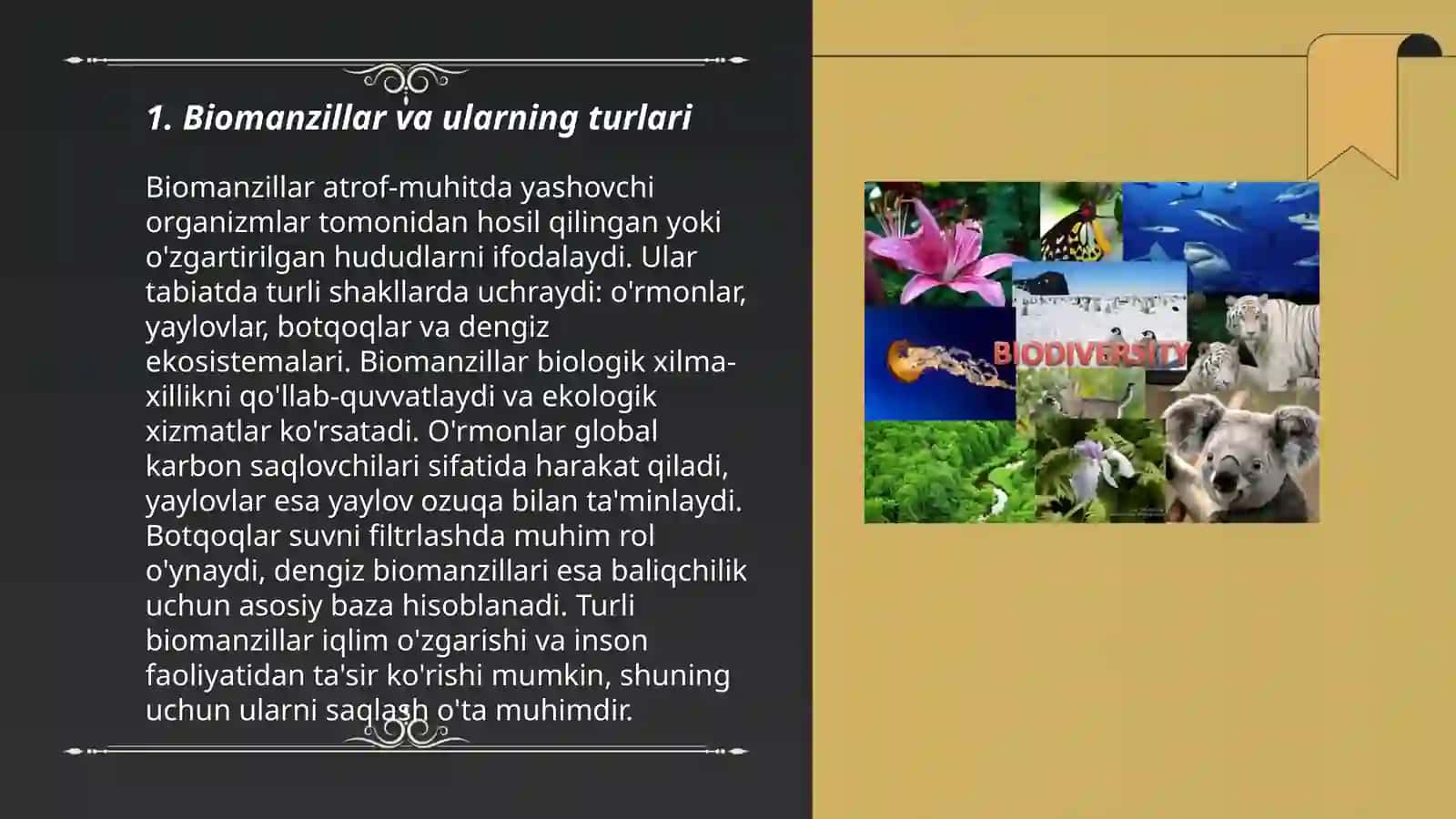 O‘simlik va hayvonot dunyosining bioxilma-xilligi 3