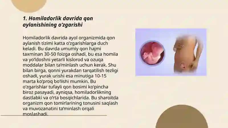 Homilada qon aylanishi Fotima 3