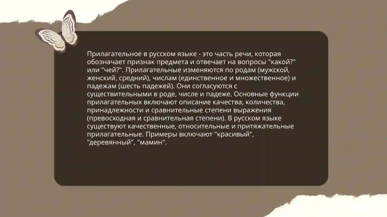 Имя прилагательное 3