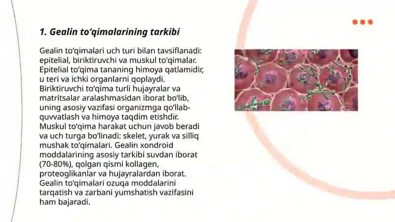 Gealin, elastik va tolador togʻaylar 3