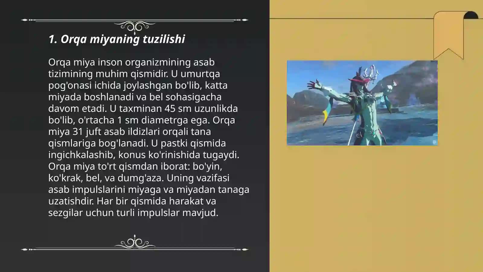 Orqa miyaning tuzilishi va yosh xususiyatlari 3