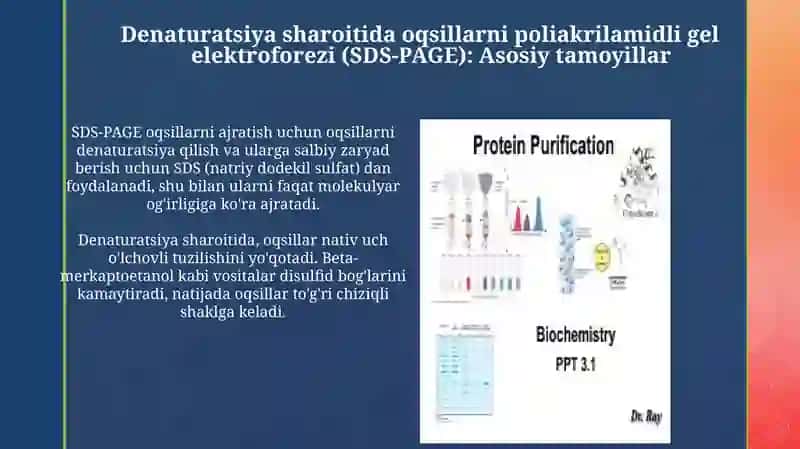 Poliakrilamidli gel elektroforezi 3