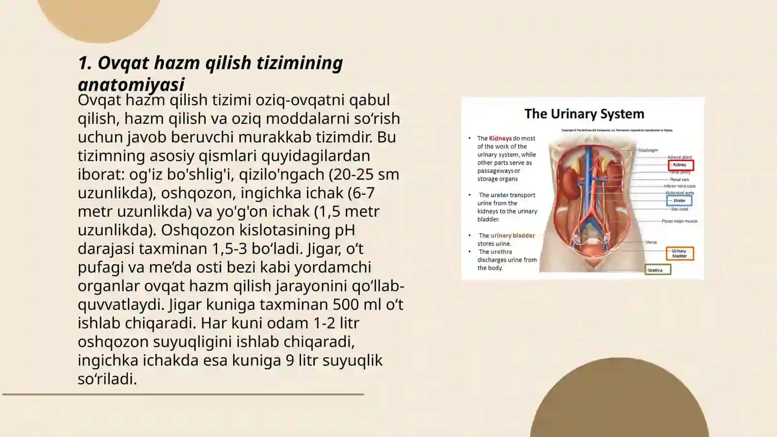 Ovqat hazm qilish tizimi va buyrak va siydik yo'llari kasalliklari buzilgan bemorlarni davolash 3