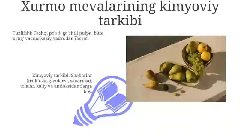 Xurmo mevalarining tuzilishi 3
