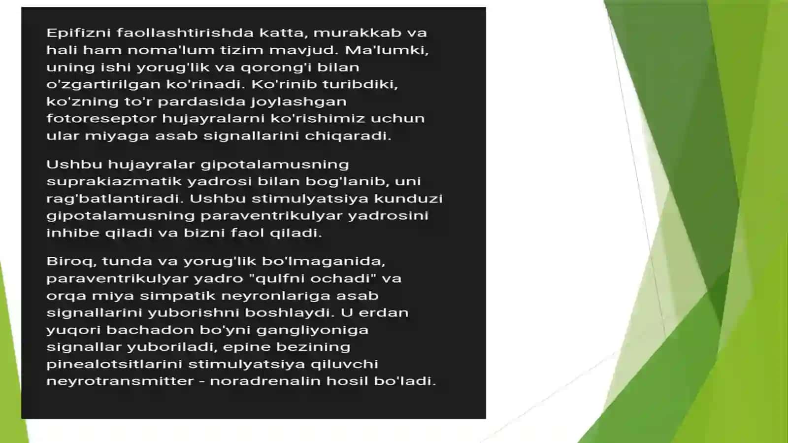 EPIFIZ YOKI GURRASIMON BEZ 3