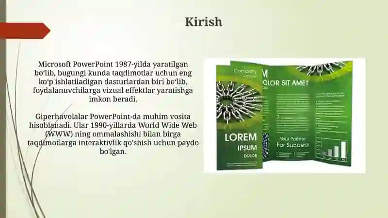 Ms PowerPoint 3