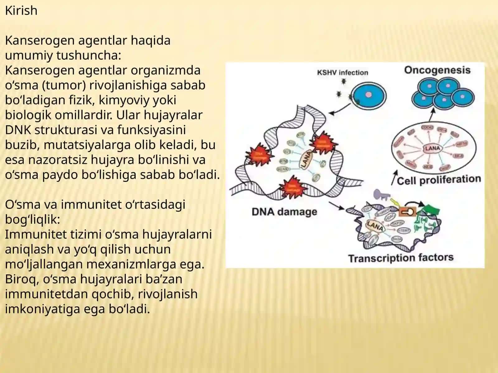 Kanserogen agentlar va ularning hujayralar bilan o‘zaro ta’siri. O‘sma immuniteti 3
