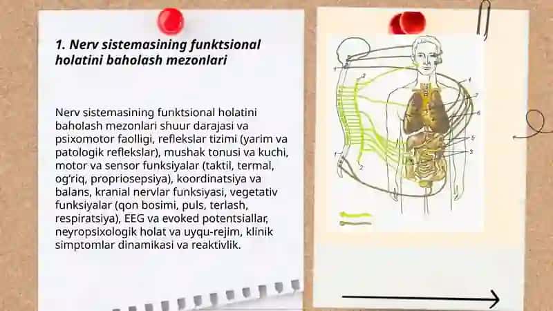 Nerv sistemasining funksional holati 3
