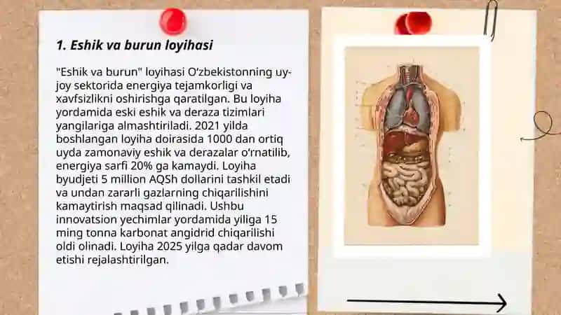 Ta'm bilish va hid bilish a'zolarining funksional anatomiyasi 3