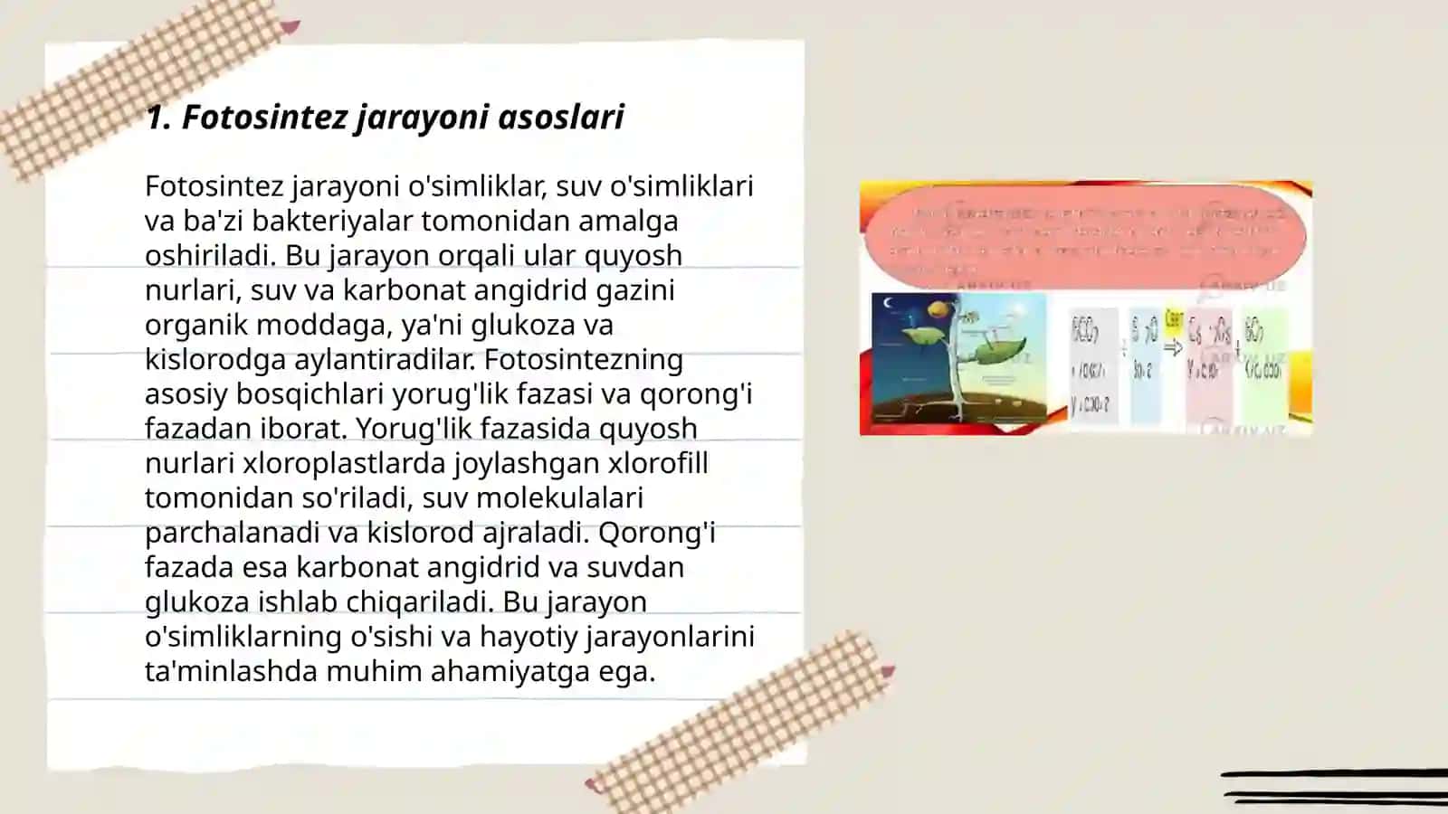 Fotosintezning tabiatda tutgan o'rni 3