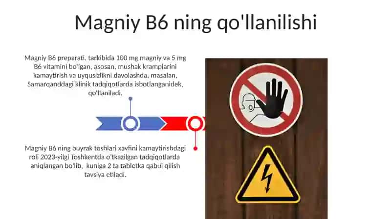 Magniy B6 3