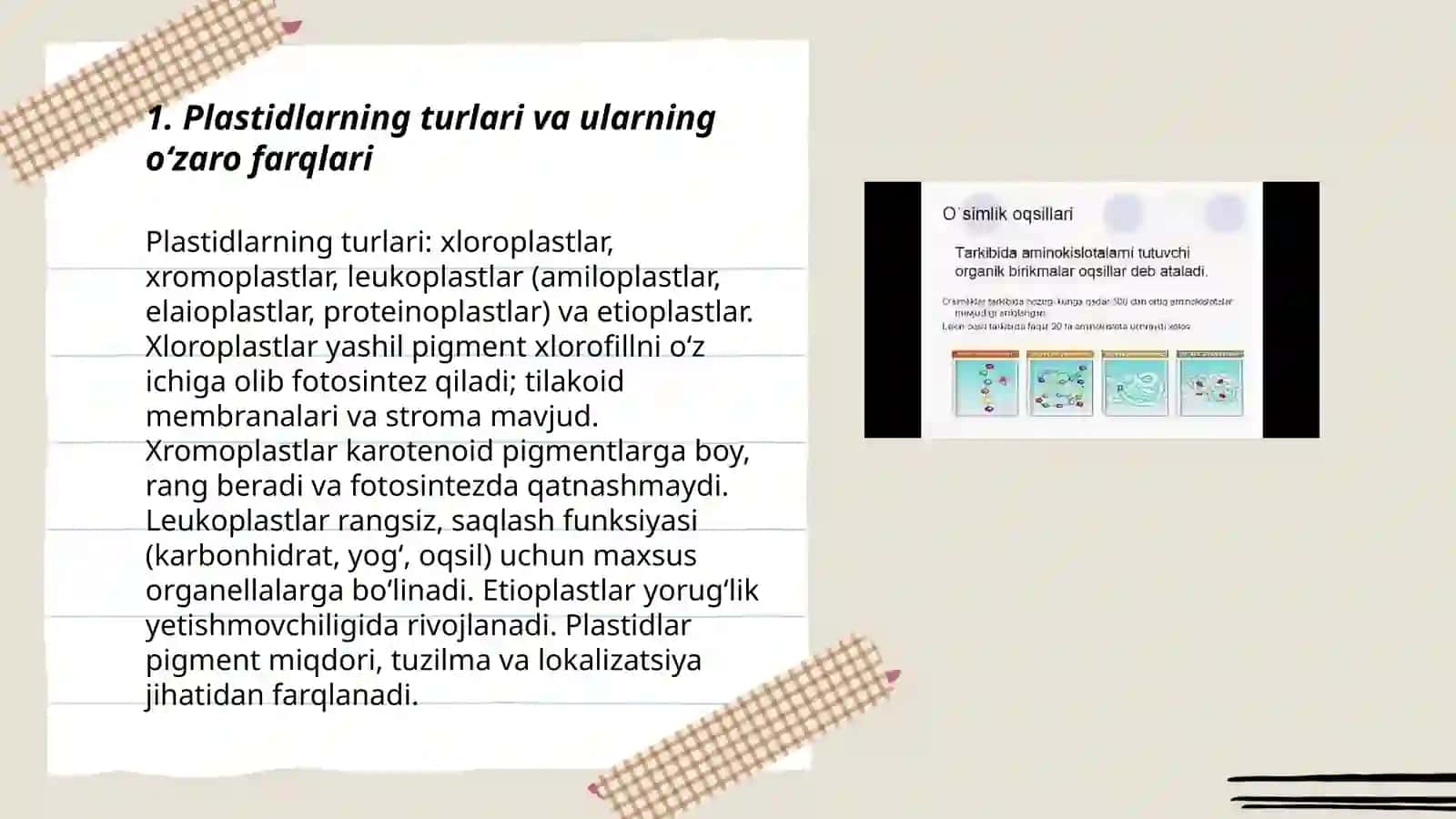 Plastidalarni osimlik organizmidagi ahamiyati 3