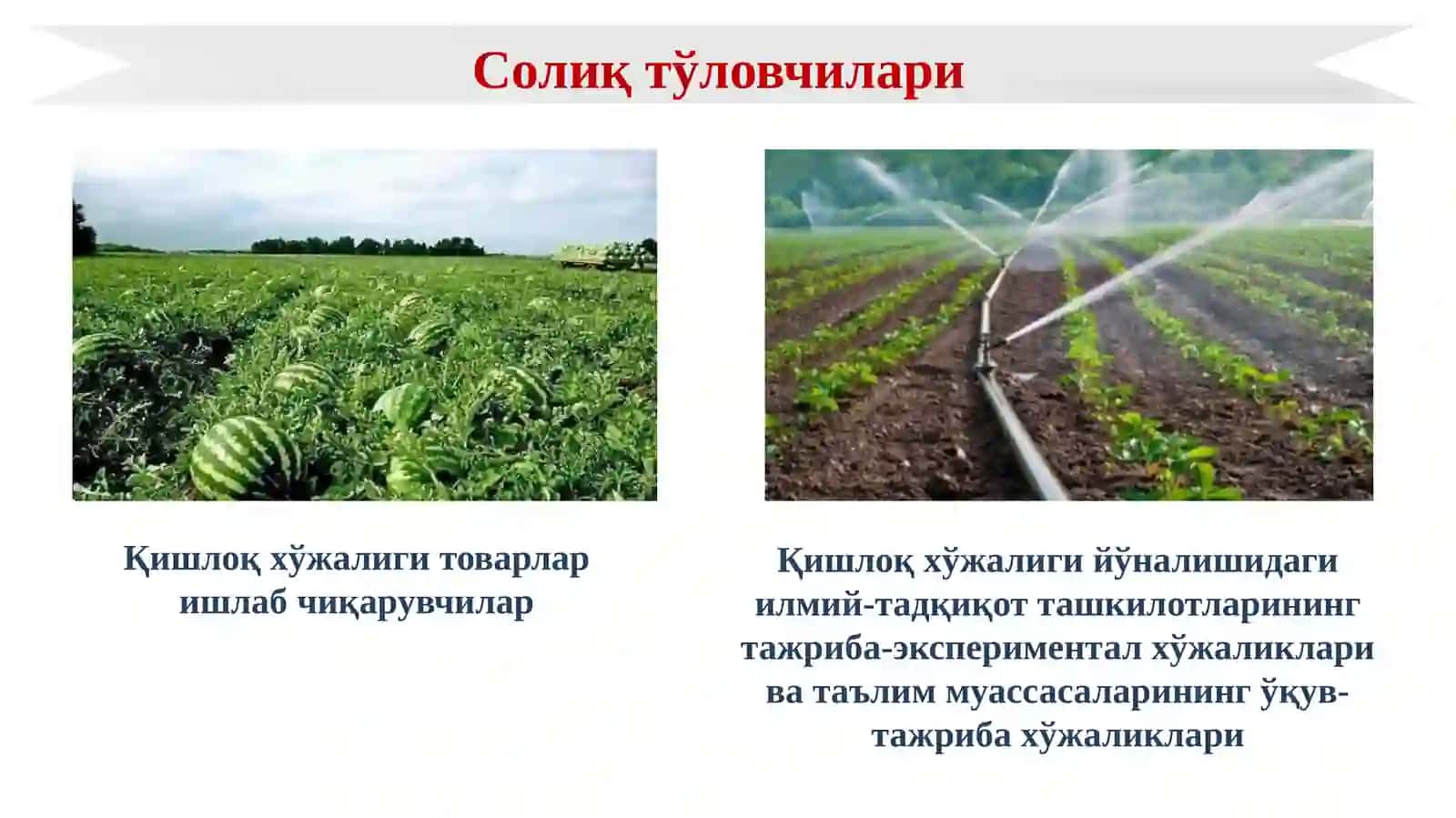 Ягона ер солиғини тўлаш тартибини қўллашнинг ўзига хос хусусиятлари 3