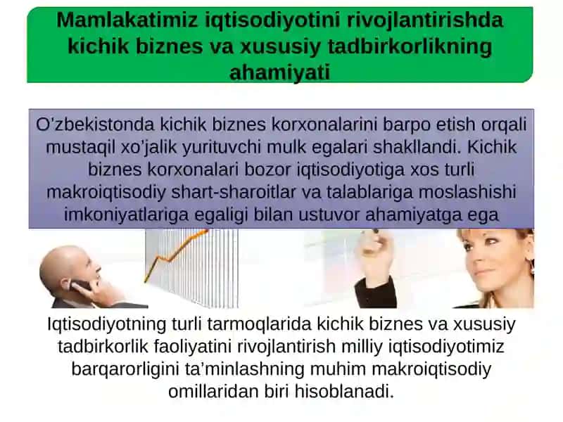 Kichik biznes va xususiy tadbirkorlikka xorijiy investitsiyalarni jalb etish 3