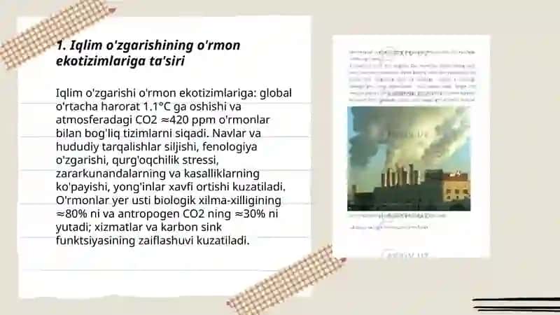 Ekologik muammolar. Iqlim özgarishini tabiatga tasiri 3