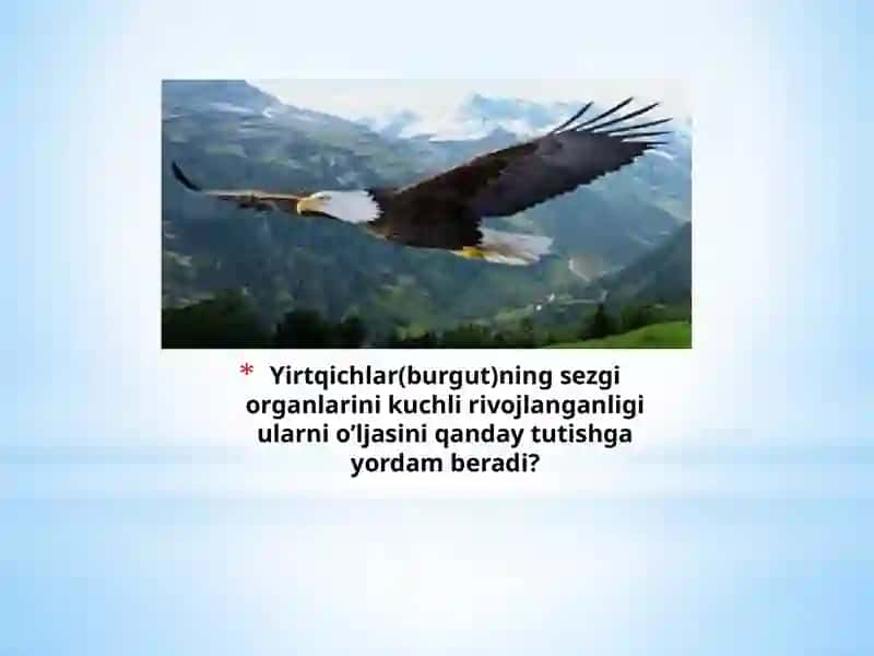 Yirtqichlar va ularning o'ljalaridagi moslanishlar 3