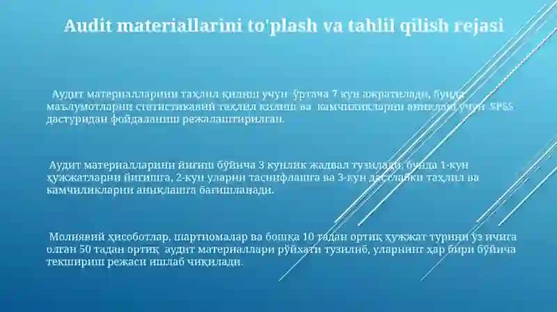 Korxonani auditorlik tekshiruvidan o’tkazish ishchi dasturi 3