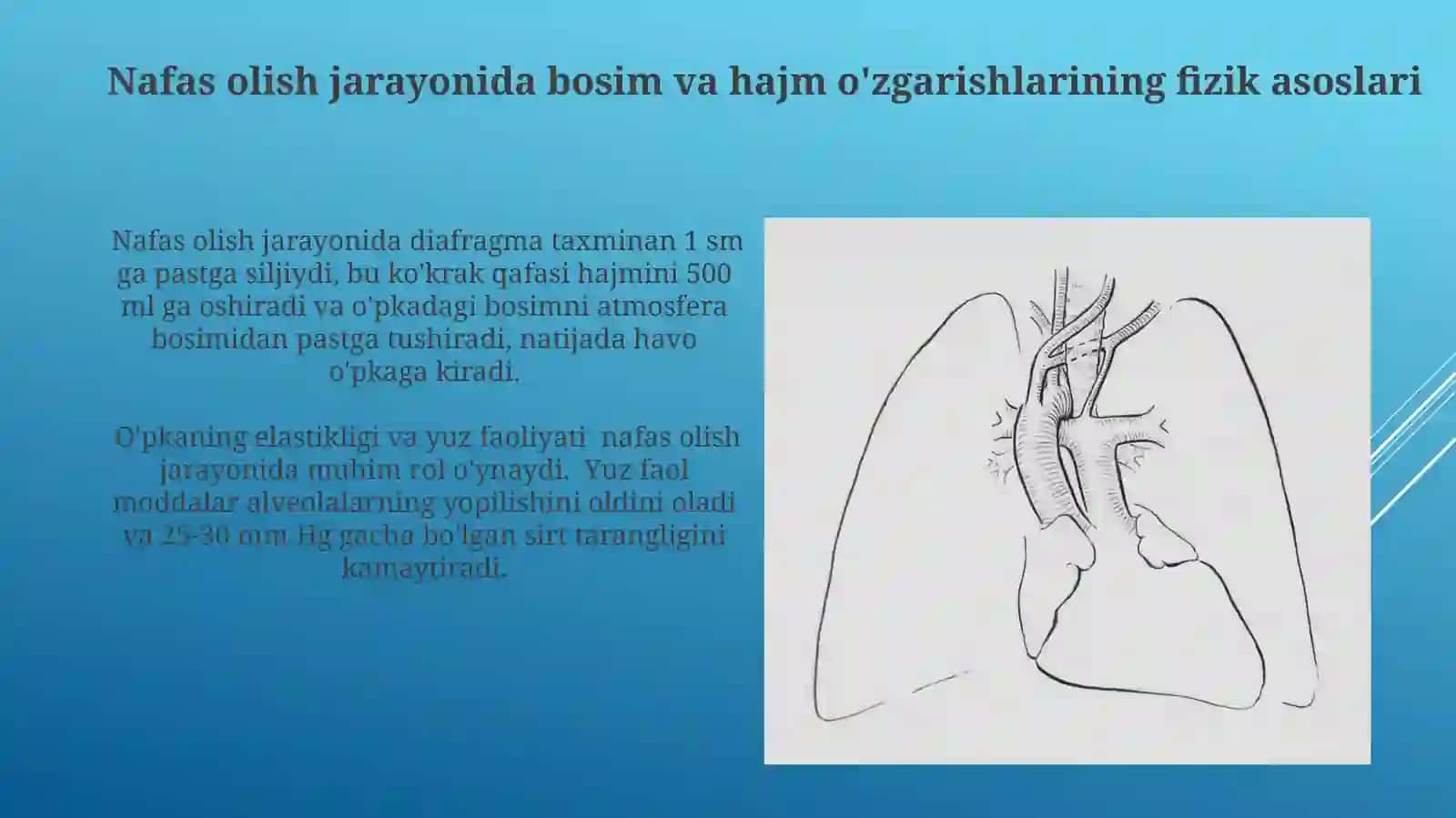 Nafas olish jarayonidagi bosim va hajm ozgarishlarning fizik asoslari 3