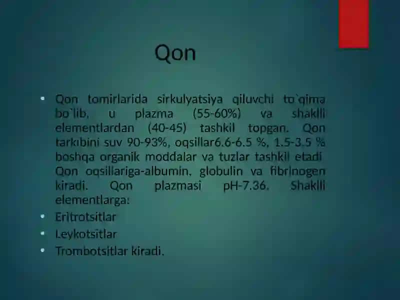 GEMOPOEZ 3