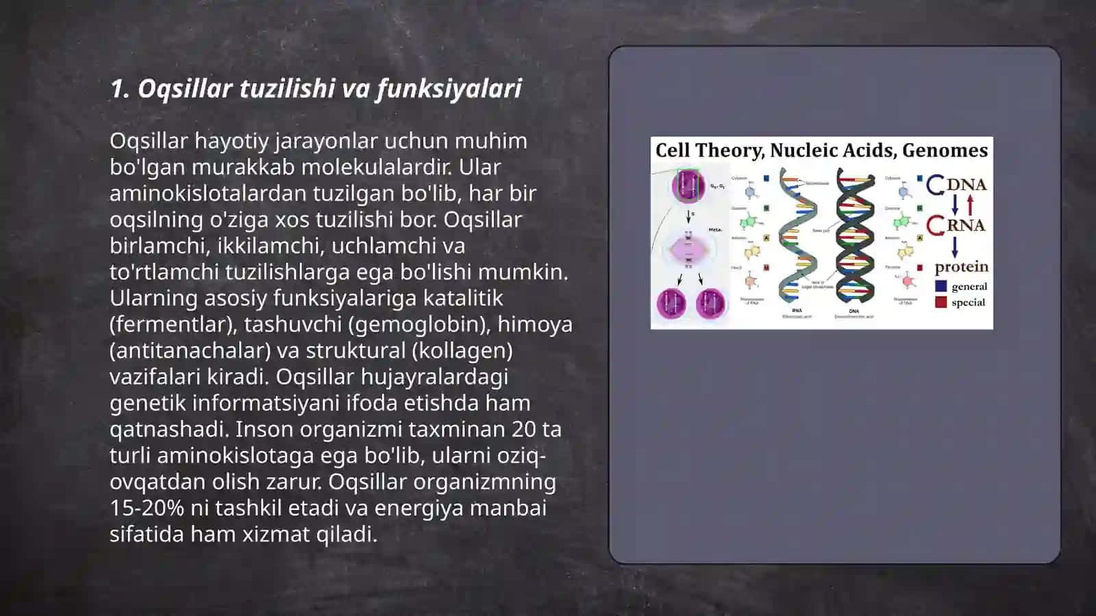 Oqsillar va nuklein kislotalar biosintezi haqida tushuncha 3