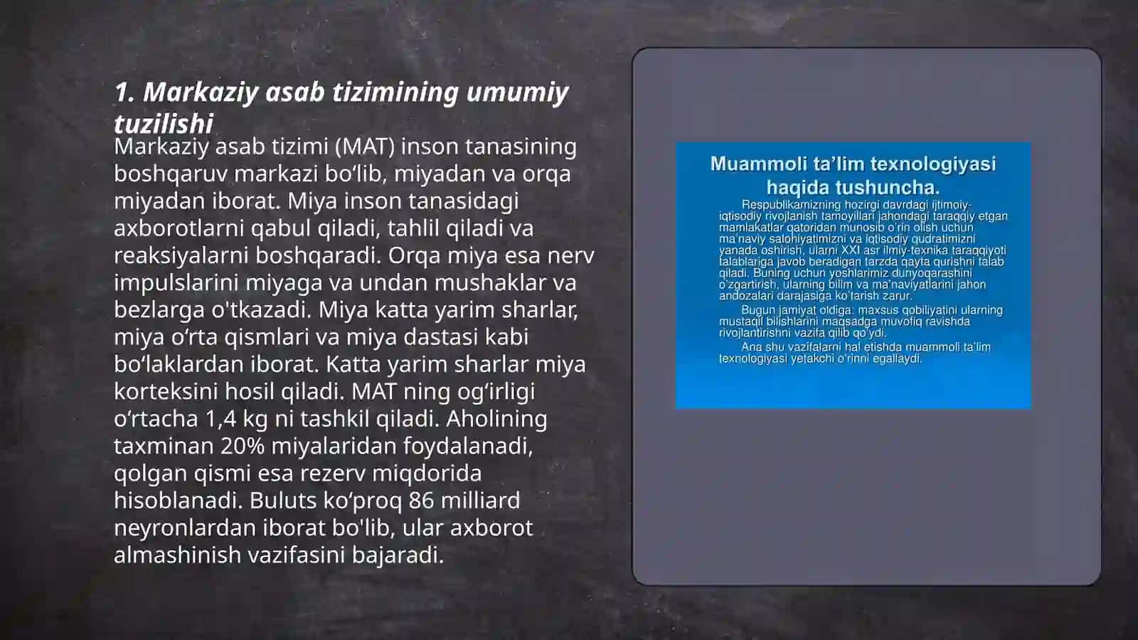 Markaziy asab sistemasi umumiy fiziologiyasi 3