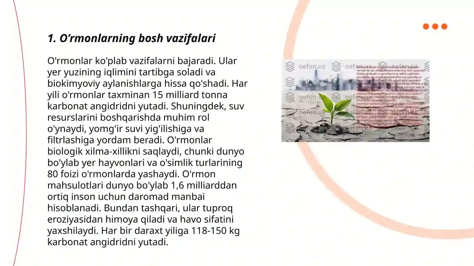 O’rmonlar va ularning ekologik ahamiyati 3