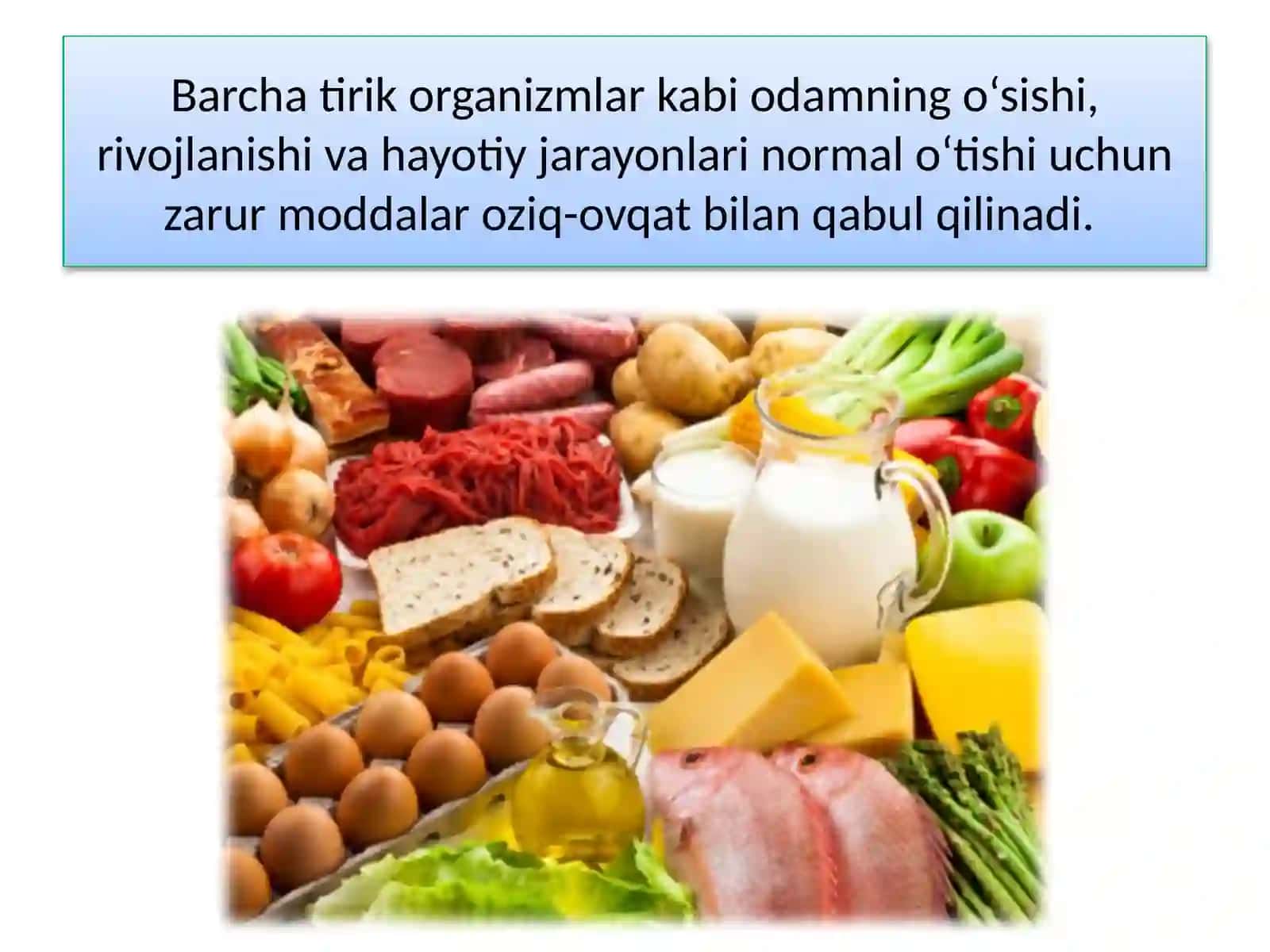 Odamning ovqat hazm qilish sistemasi 3