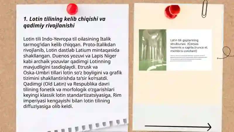 Lotin tili tarixi va zamonaviy tillarda lotin tili 3