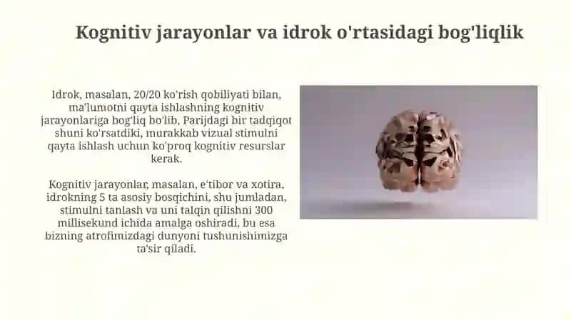 Bilish psixik jarayonlari va idrok haqida umumiy tasavvurlar 3