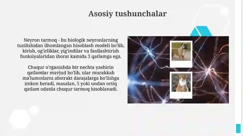 Chuqur òrganish ( deep learning) va neyron tarmoqlar 3