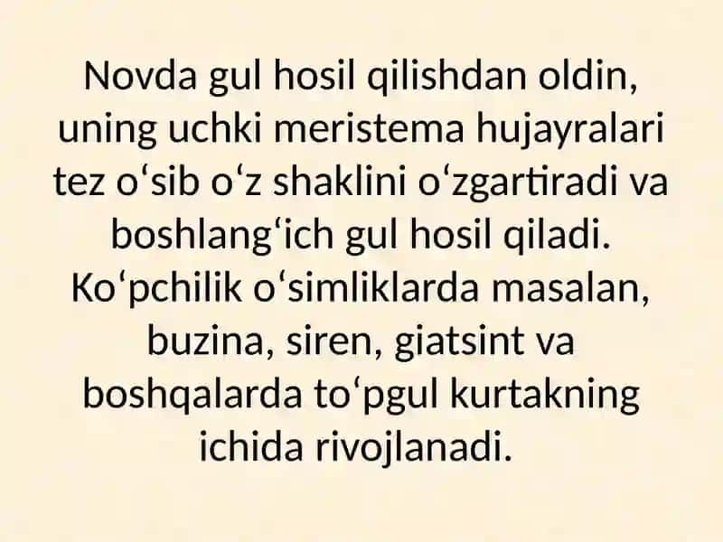 To’pgullar, ularning asosiy morfologik belgilariga ko’ra tiplarga bo’linishi 3